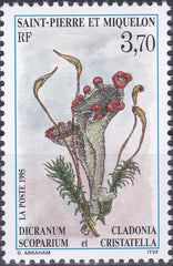 Saint Pierre et Miquelon 1995