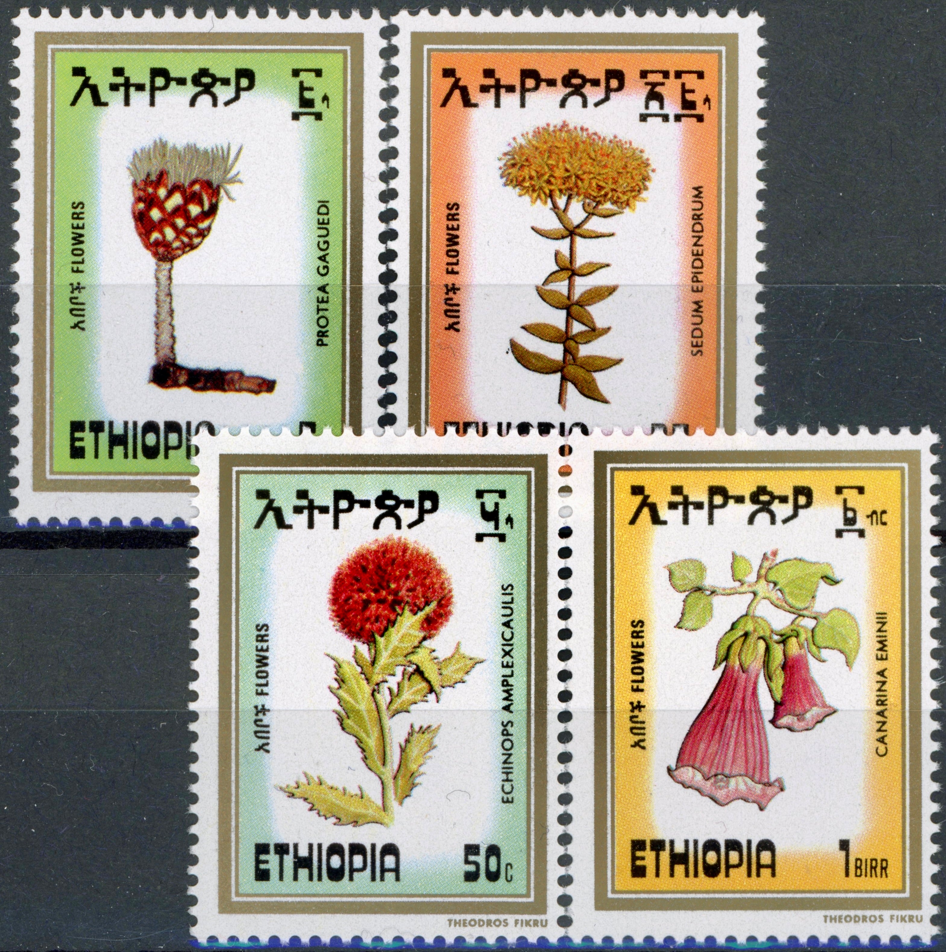 Timbru Etiopia 1984 MNH - Flora