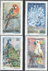 Timbru România Păsări exotice – 1999 MNH (ROM13)