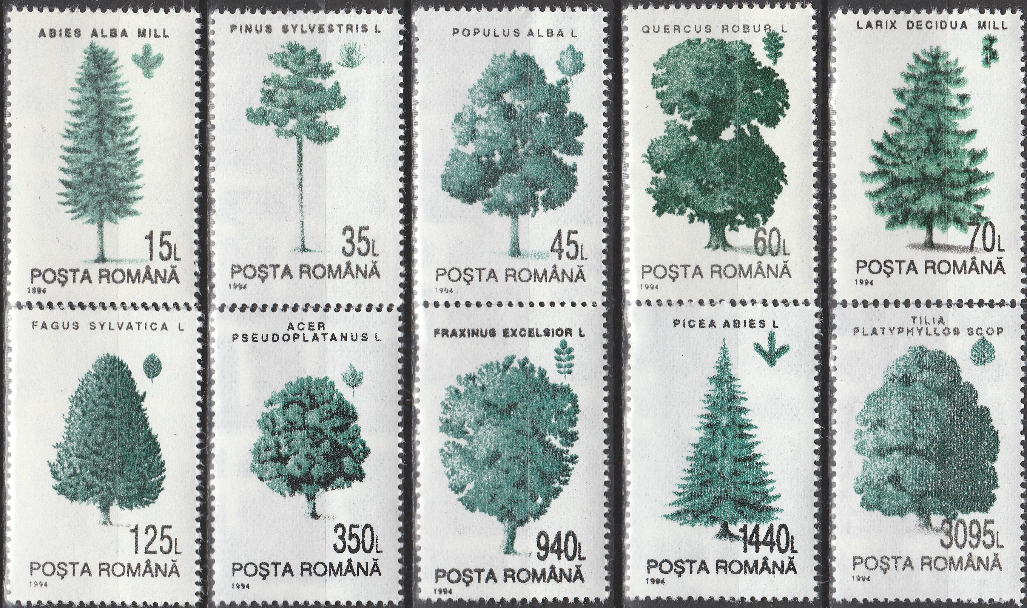 Timbru România Arbori – 1994 MNH (ROM15)