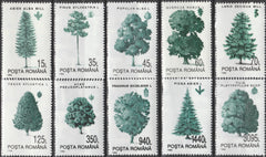 Timbru România Arbori – 1994 MNH (ROM15)