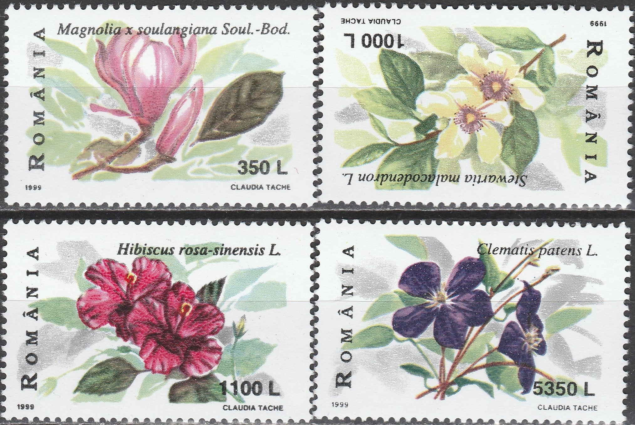 Timbru România Plante ornamentale – 1999 MNH (ROM8)